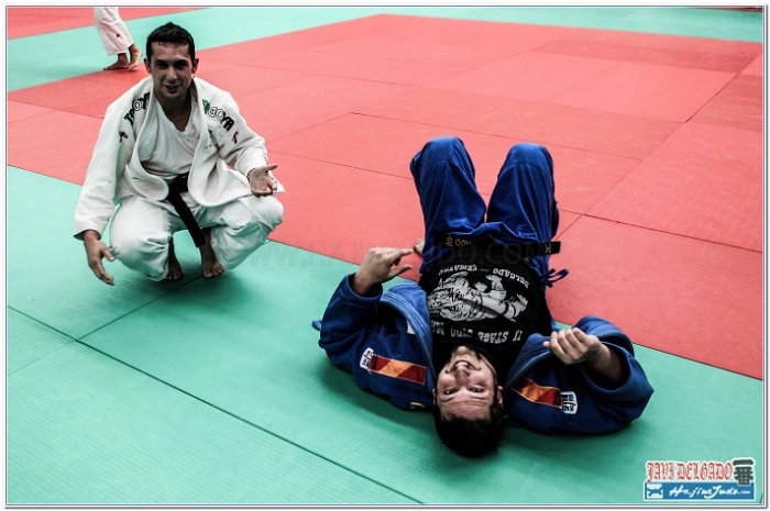 STAGE JUDO MADRID 14 00064